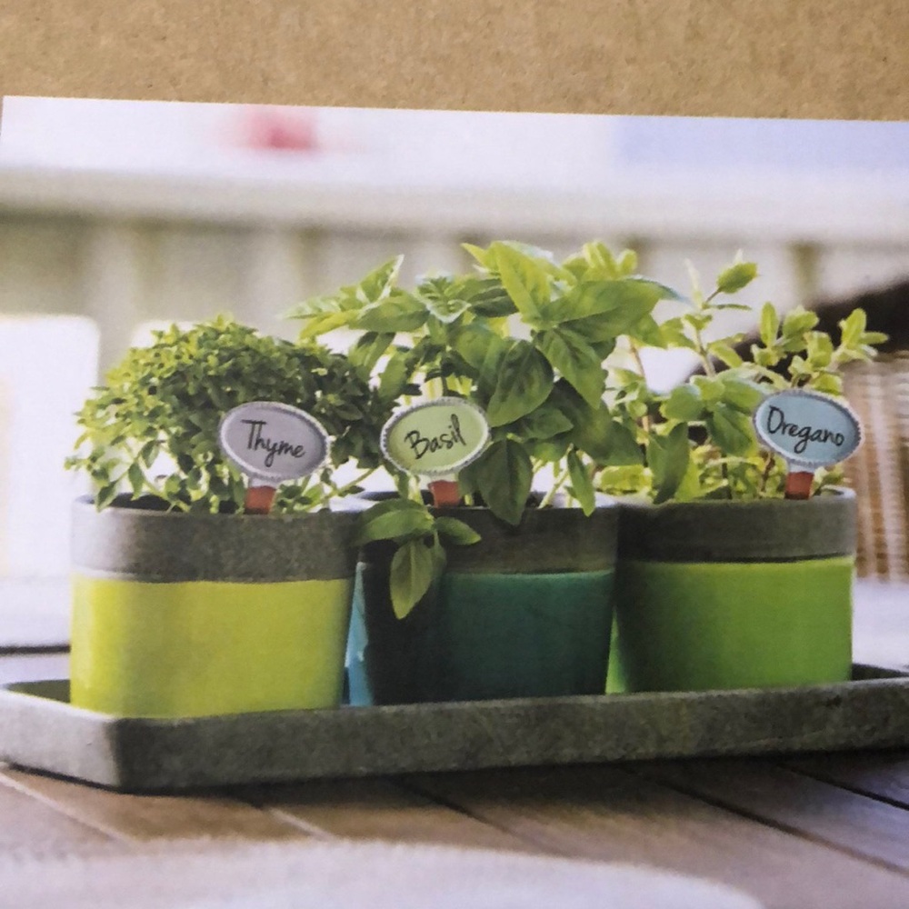 NIOB Meadow Creek Customizable Ceramic Herb Markers